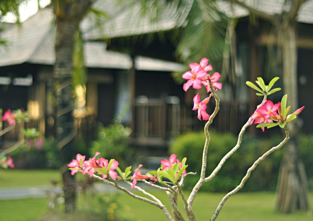 Aman Gati Balangan Hotel Pecatu  Luaran gambar